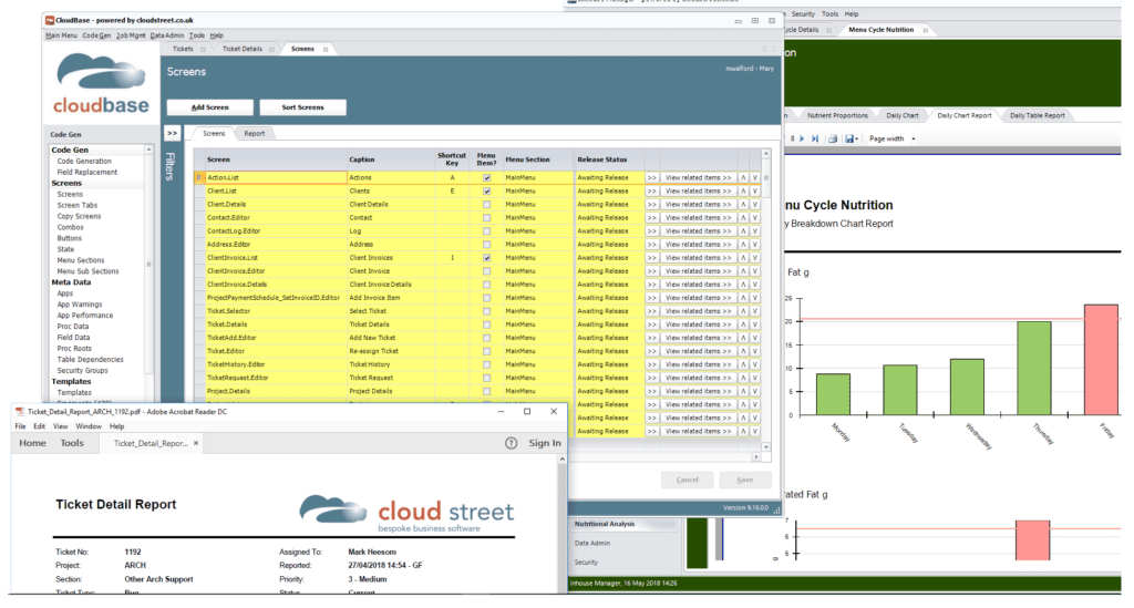Management reporting software screenshot